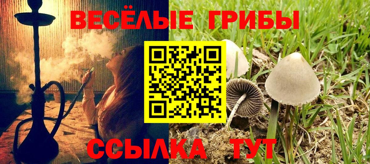 Галлюциногенные грибы MAGIC MUSHROOMS  Вход с VPN  Кубинка  Галлюциногенные грибы мухоморы 