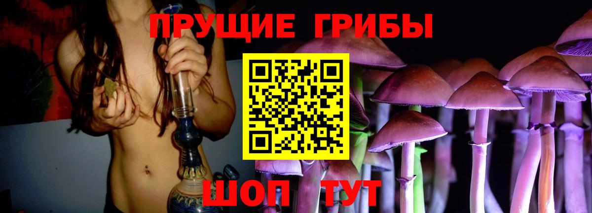 Псилоцибиновые грибы мицелий Кубинка